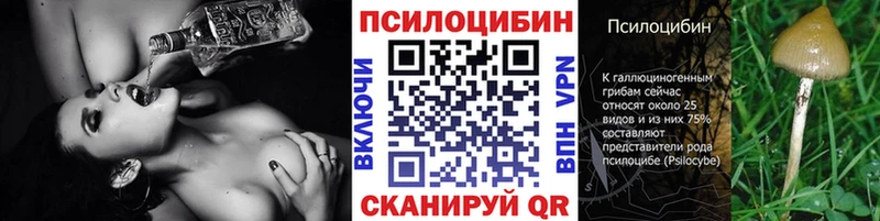 Псилоцибиновые грибы Psilocybe  купить   Волжский 