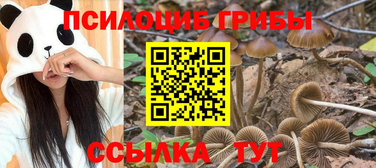 Галлюциногенные грибы Magic Shrooms  Вход с VPN  Галлюциногенные грибы MAGIC MUSHROOMS  Волжский 
