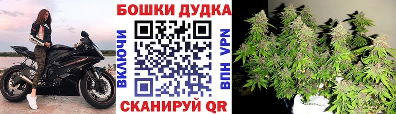Конопля семена  купить наркоту  кракен как войти  Волжский 